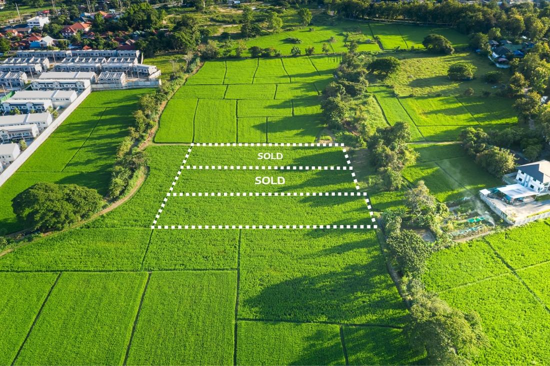 Aerial view of fields with sold markings